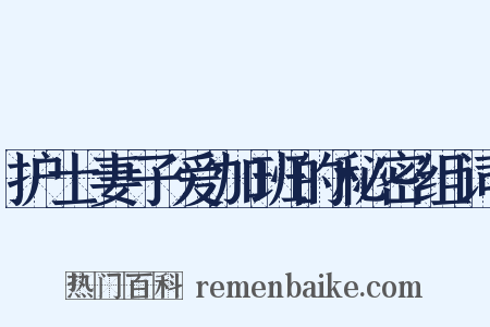 护士妻子爱加班的秘密组词是什么意思的图片